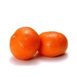 �ץ��ե�������� /><br />