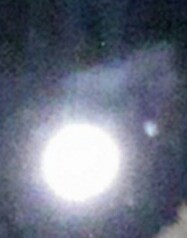 �ץ��ե�������� /><br />